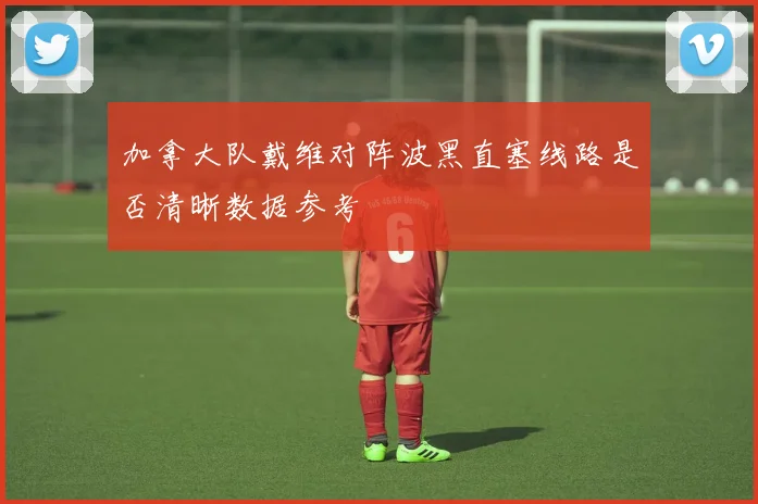 加拿大队戴维对阵波黑直塞线路是否清晰数据参考