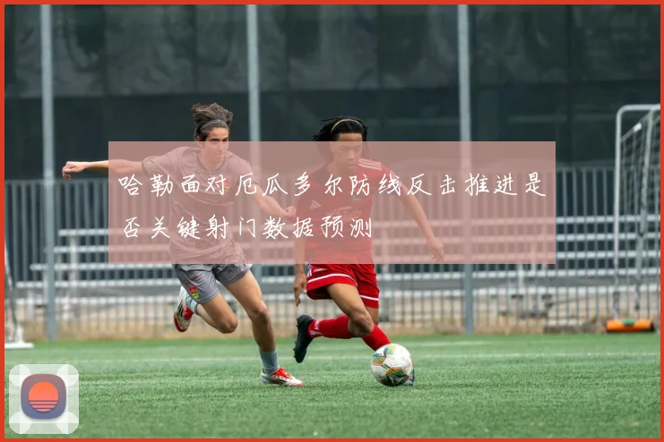哈勒面对厄瓜多尔防线反击推进是否关键射门数据预测