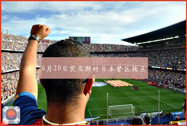 6月20日突尼斯对日本禁区抢点