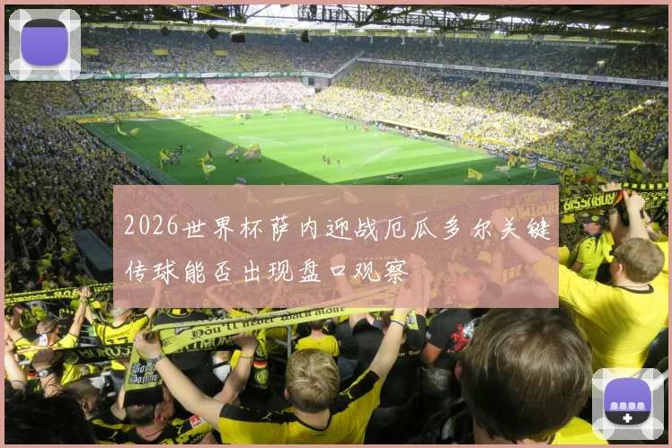 2026世界杯萨内迎战厄瓜多尔关键传球能否出现盘口观察