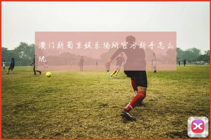 澳门新萄京娱乐场所官方新手怎么玩