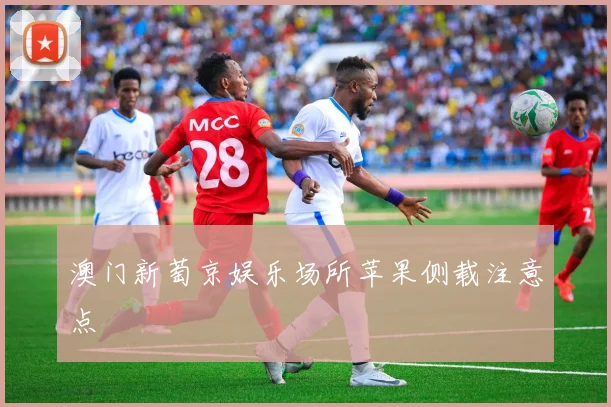 澳门新萄京娱乐场所苹果侧载注意点